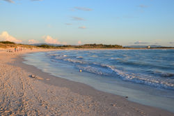 Spiagge bianche di Rosignano Solvay