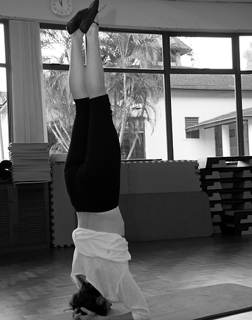 Vivienne Riedlin VFIT Now