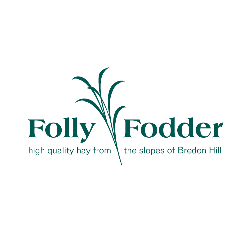 Folly Fodder