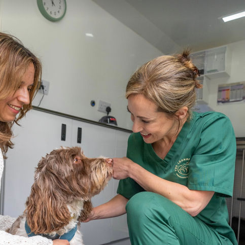 The Lounge Vet Berkhamsted