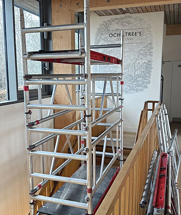 image_6209779_edited.jpg