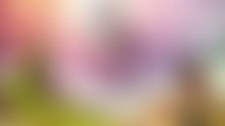 Куда приводят мечты