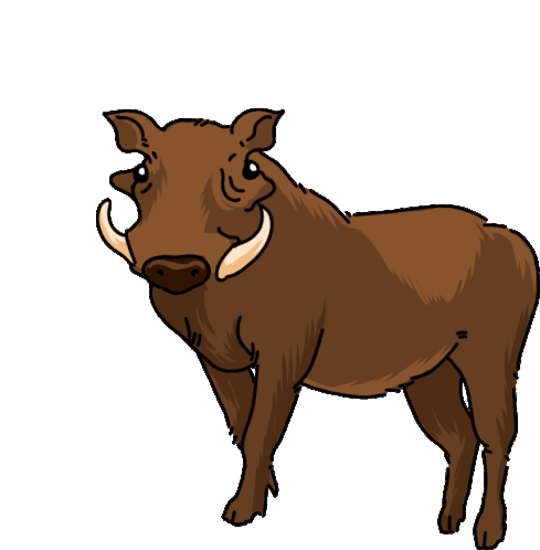 warthog-common-warthog.gif