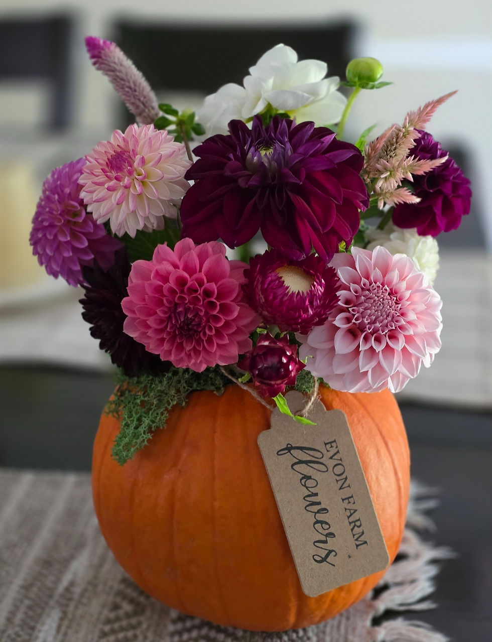 Dahlia & Pumpkin Workshop