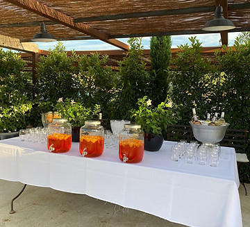 WhatsApp Image 2024-01-12 at 10.53.47 (1).jpeg