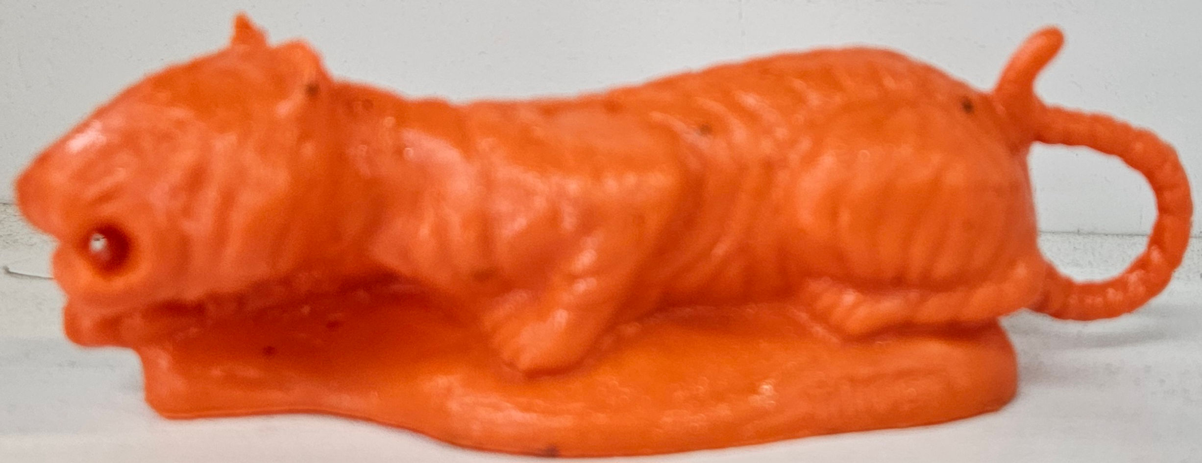 Tiger Engraved Zoo World