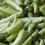 Thumbnail: Baji Mirchi or Hungarian Wax Chilli