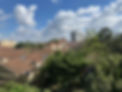 Leafy Lavington, Suburb in Nairobi, 9 November 2024.JPG