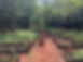 Karura Forest Indigenous Tree Nursery (2), 14 June 2024.JPG