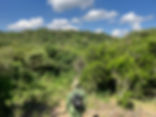 Oloolua Forest Ecotour with Rosemary, 19 November 2024.JPG