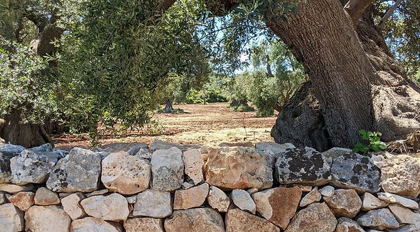 Our Puglia tips _ SpecialPuglia.jpeg