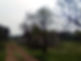 WhatsApp Image 2026-03-03 at 20.51.02.jpeg