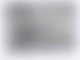 "Price Before Politics"