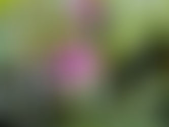 Fotografia: Desenhar, traçar com luz e contraste