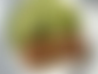 Pan-Seared Chicken Patties with Cabbage–Cucumber Salad