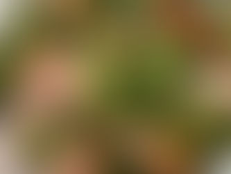 Salmon, Arugula, Chickpea, and Avocado Salad