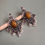 Thumbnail: Chandrakantha Earrings