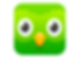 duolingo logo