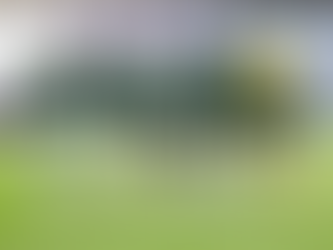 Saudi Arabia’s NFT Collection Soars After Soccer Win Against Argentina