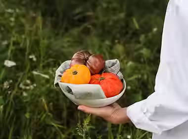 K.health Workshop & Talks