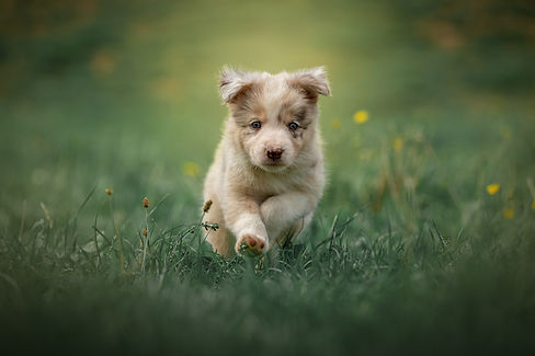 28. September 2019 - Bild 106sw.jpg