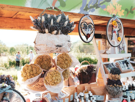 Sejmi zdravilnih zelišč in domačih izdelkov – priložnost za ekonomsko opolnomočenje žensk v Črni gori