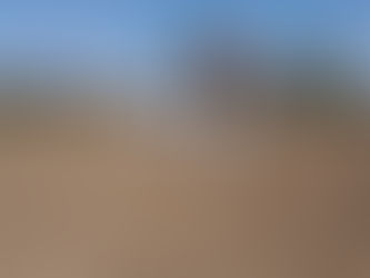 Pomoč potrebuje 20 milijonov ljudi oz. polovica prebivalcev Sudana