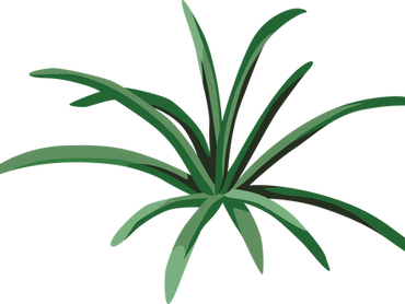 Winter Indoor Plant Routine Tips