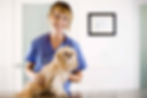 Veterinario con perro pequeño