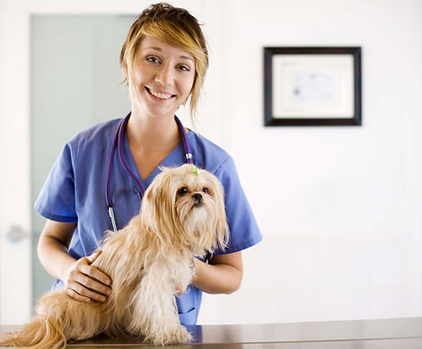 Veterinarian with small dog