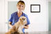 What to Ask Your Veterinarian Prior to Your Pet's Surgery