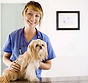 Veterinarian With Dog