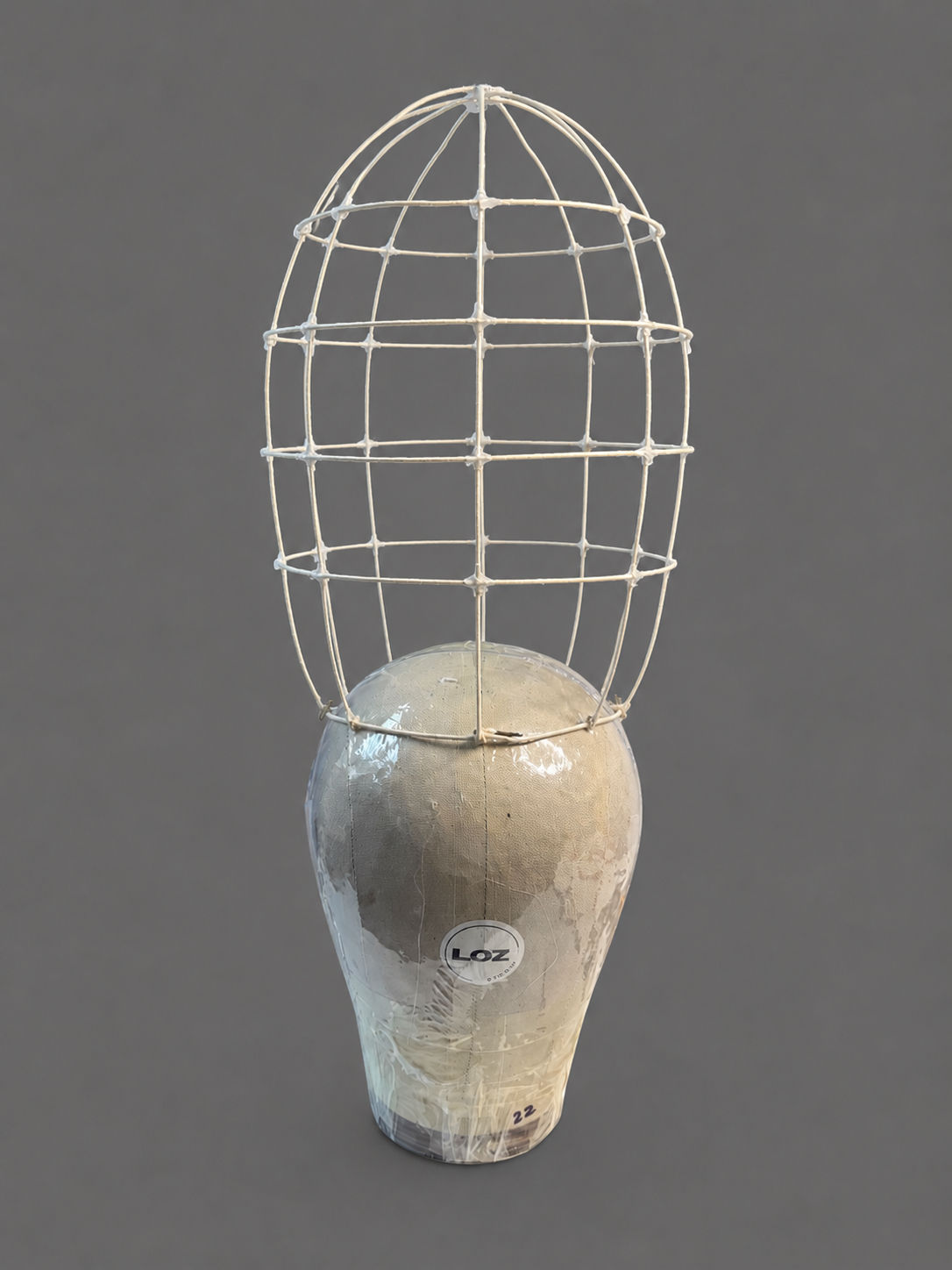 Wig Cage