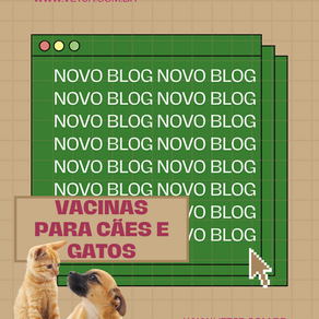 Vacinas para cães e gatos: o que é realmente essencial de acordo com a WSAVA 2024?