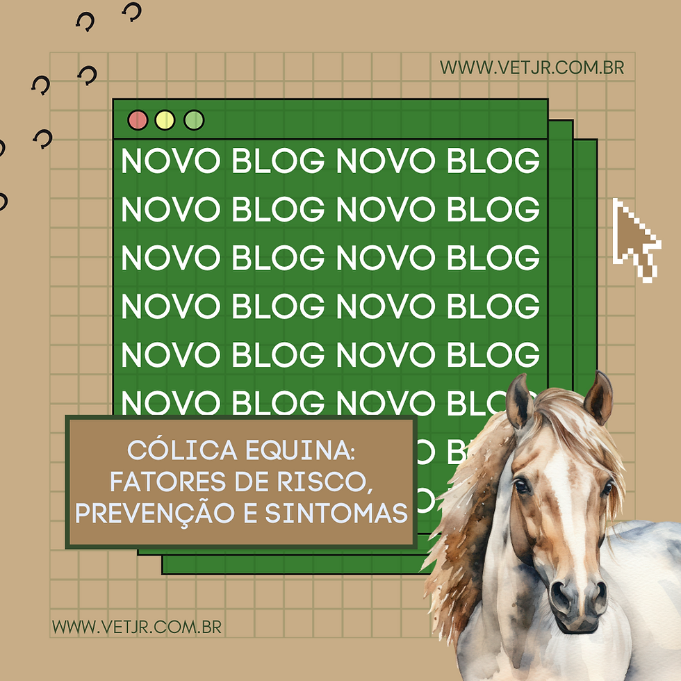 CÓLICA EQUINA 
