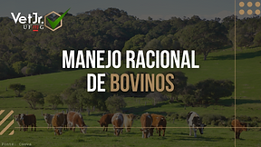 MANEJO RACIONAL DE BOVINOS.png