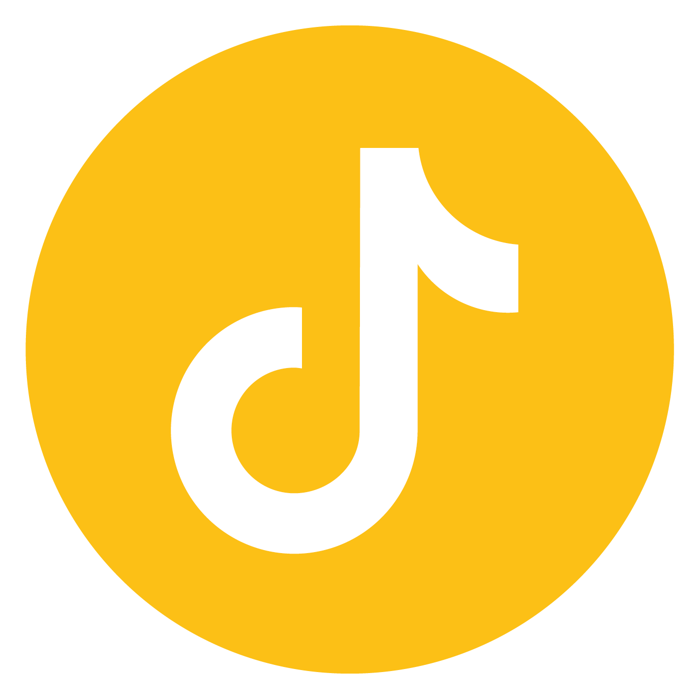 iconeTikTok_Prancheta 1.png