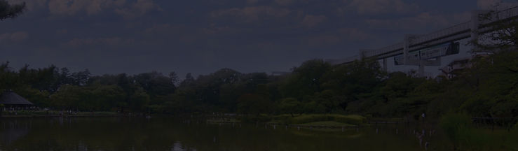 chiba park edited copy_edited_edited.jpg