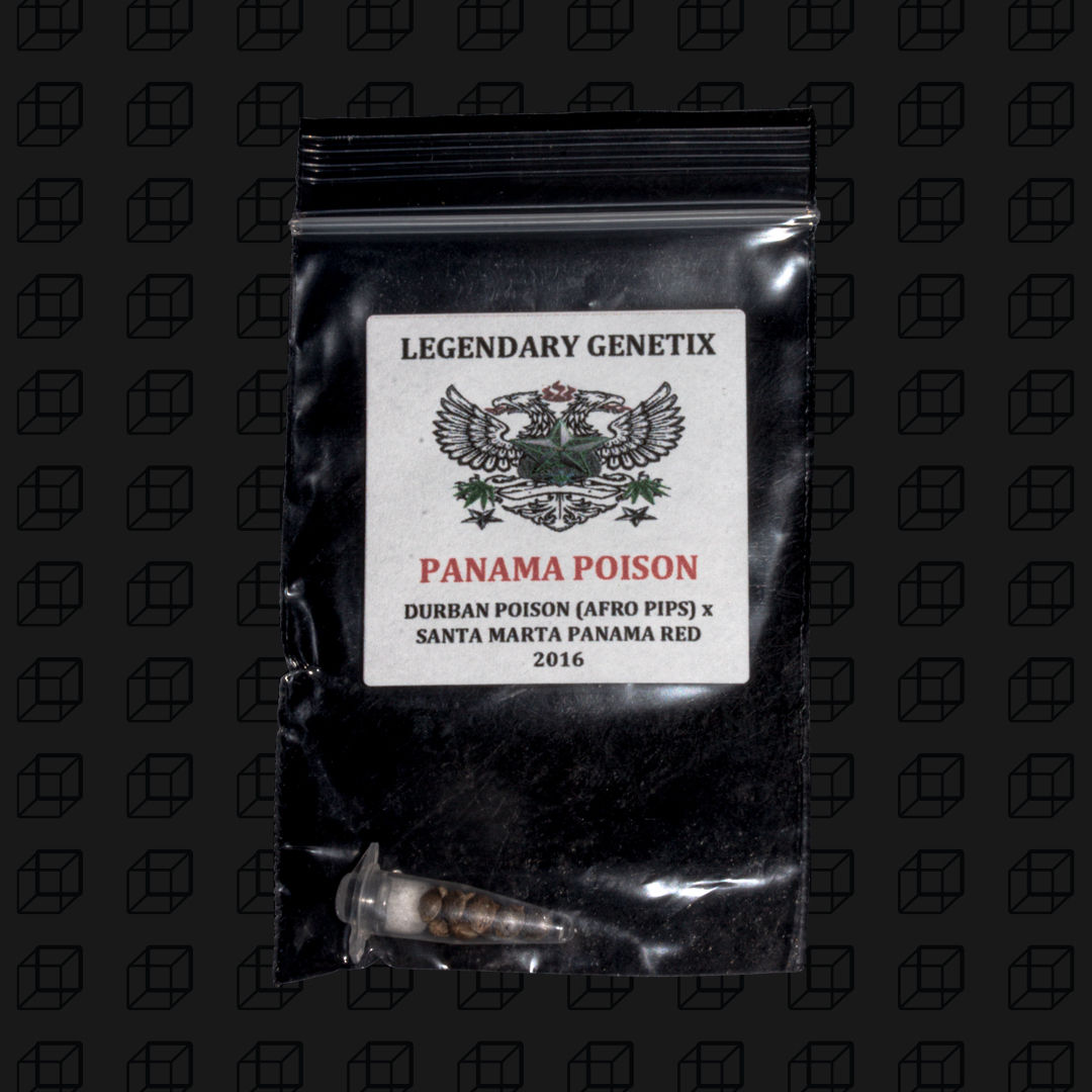 Panama Poison
