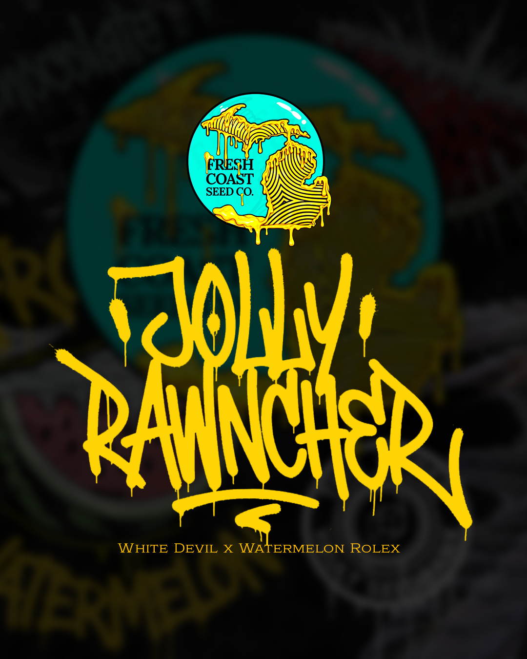 Jolly Rawncher - Fresh Coast Seed Co.