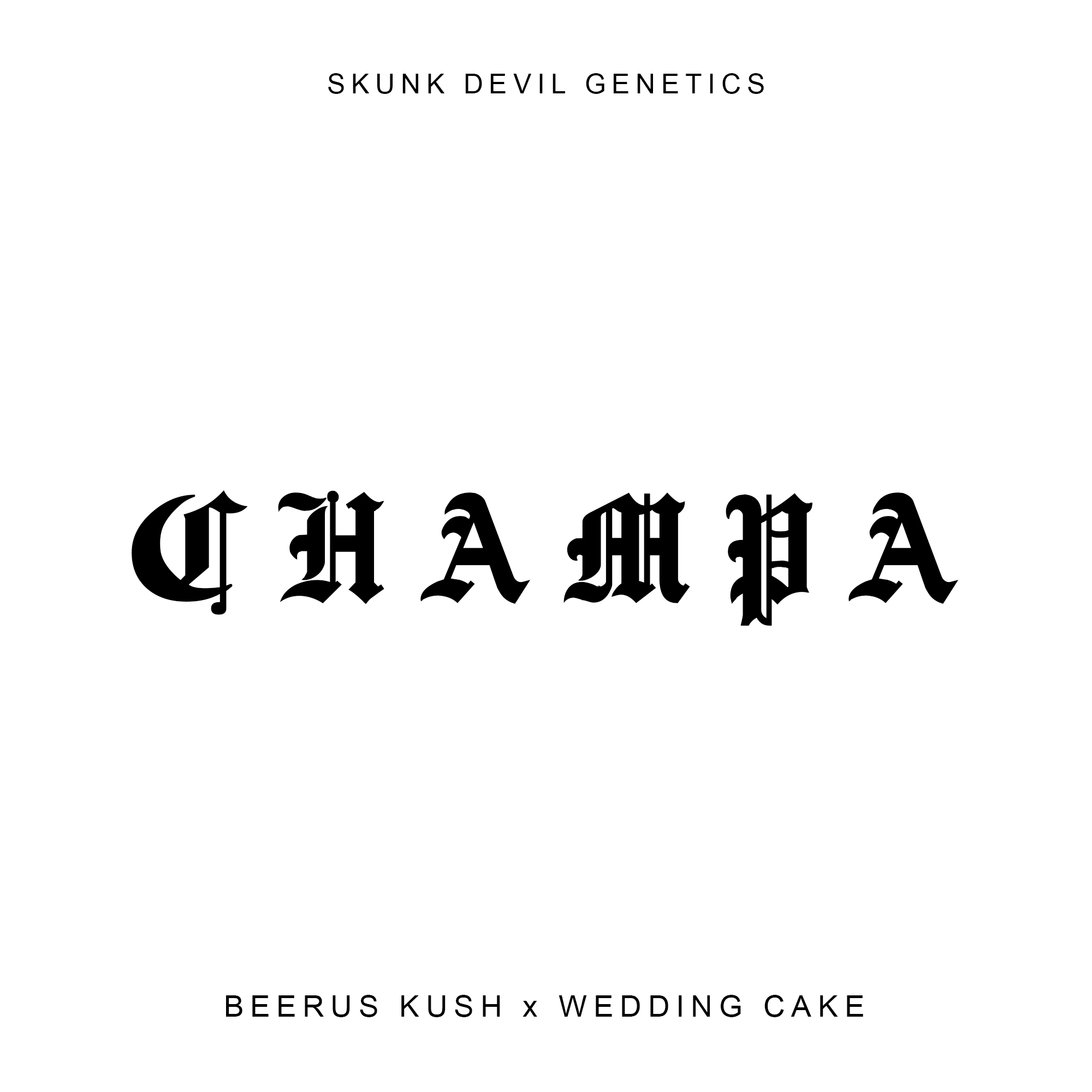 Champa