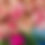 Thumbnail: Classic Rose Dome Rose