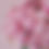 Thumbnail: Classic Rose Dome Rose