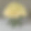 Thumbnail: White mondial rose dome