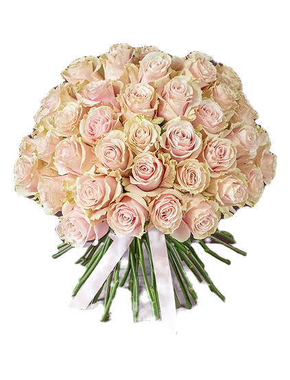 pink mondial equadorian rose dome