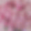 Thumbnail: Classic Rose Dome Rose