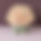Thumbnail: Classic Rose Dome Rose