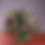 Thumbnail: Pink dance bouquet whole view