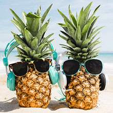 Two-pineapples-sunglasses-beach-funny-pi