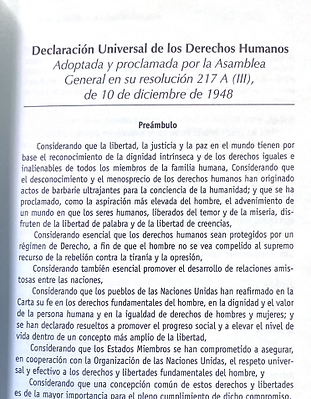 Captura de pantalla 2025-04-01 163315.png